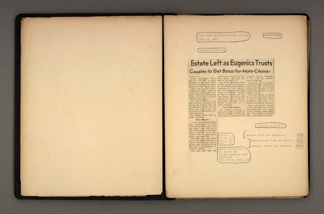 主要名稱：標題寫作圖檔，第6張，共12張