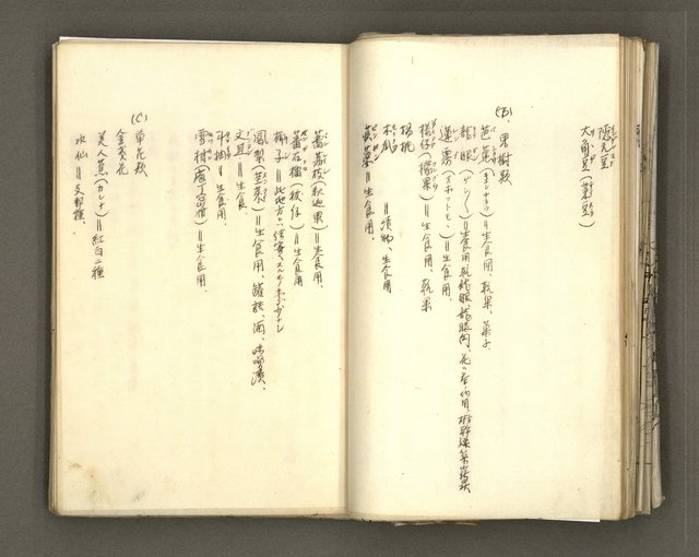 主要名稱：台南市地理歷史及鄉土名人圖檔，第46張，共171張