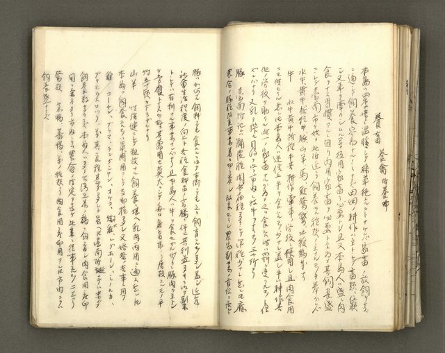 主要名稱：台南市地理歷史及鄉土名人圖檔，第50張，共171張