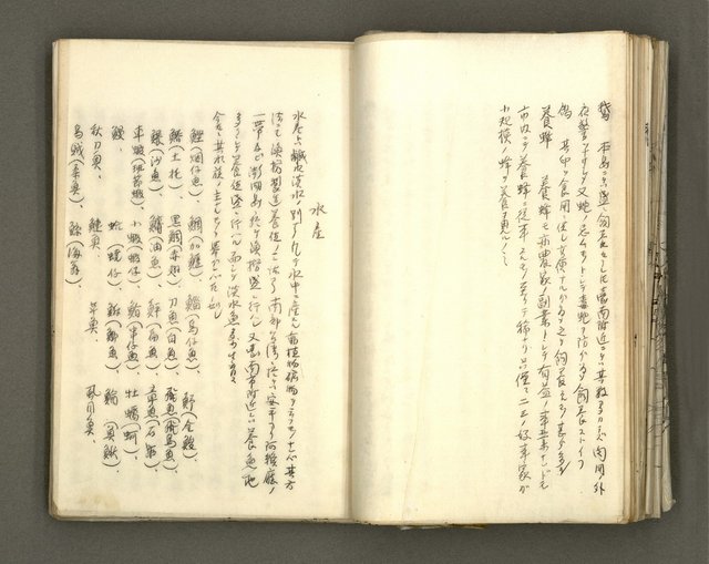 主要名稱：台南市地理歷史及鄉土名人圖檔，第51張，共171張