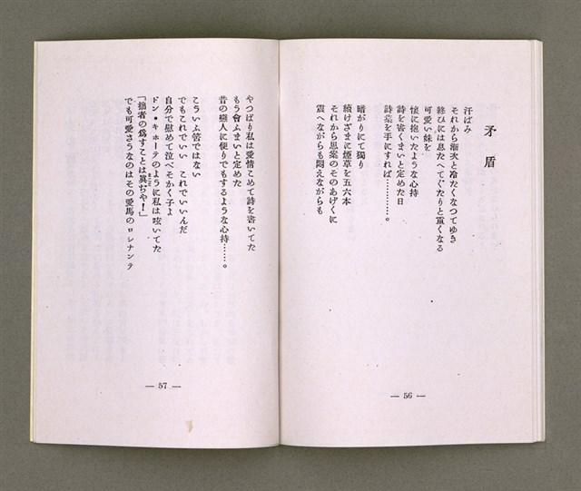 主要名稱：靈魂の產聲（詩集）圖檔，第29張，共34張