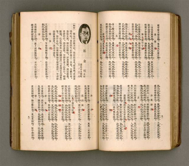 主要名稱：瀛海詩集圖檔，第59張，共253張