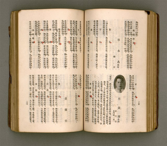 主要名稱：瀛海詩集圖檔，第105張，共253張