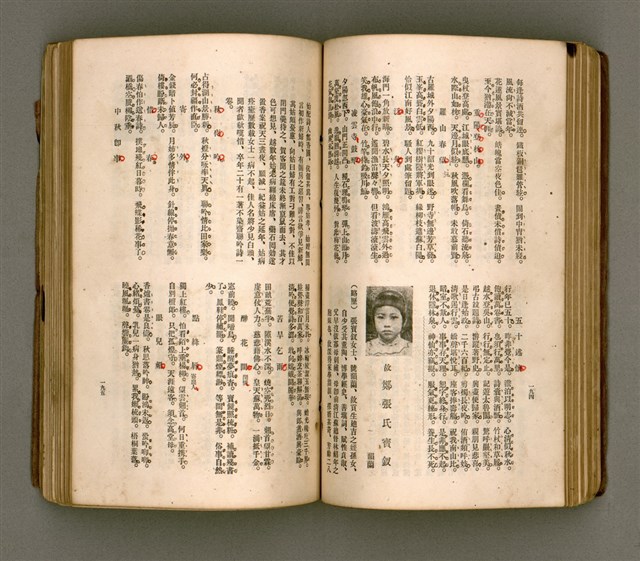 主要名稱：瀛海詩集圖檔，第110張，共253張