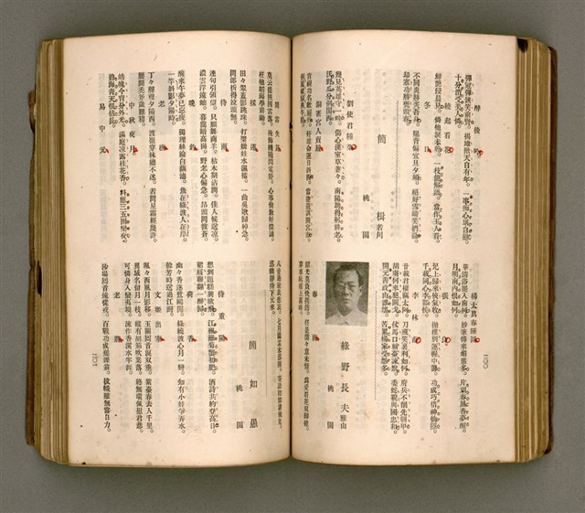 主要名稱：瀛海詩集圖檔，第113張，共253張