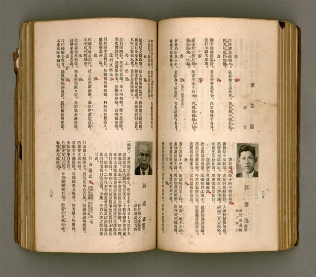 主要名稱：瀛海詩集圖檔，第117張，共253張