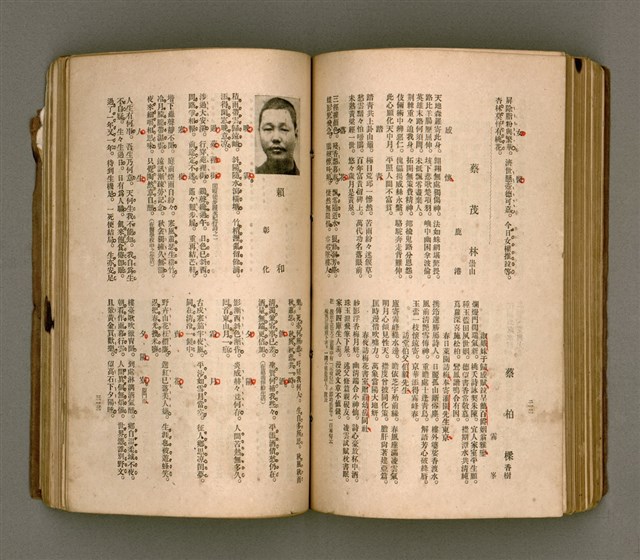 主要名稱：瀛海詩集圖檔，第169張，共253張