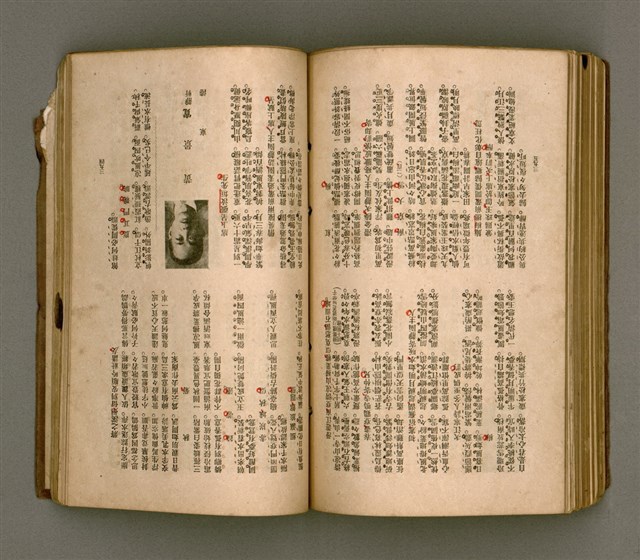 主要名稱：瀛海詩集圖檔，第195張，共253張