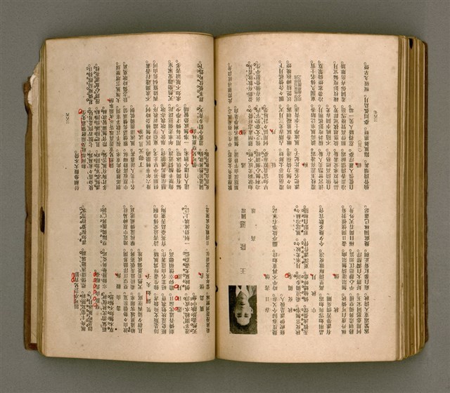 主要名稱：瀛海詩集圖檔，第209張，共253張