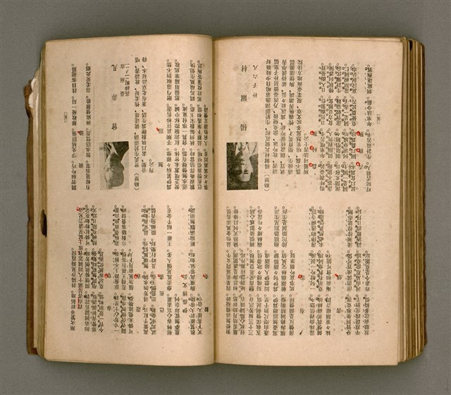 主要名稱：瀛海詩集圖檔，第217張，共253張