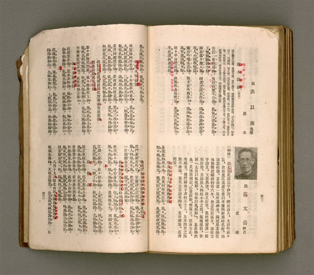 主要名稱：瀛海詩集圖檔，第244張，共253張