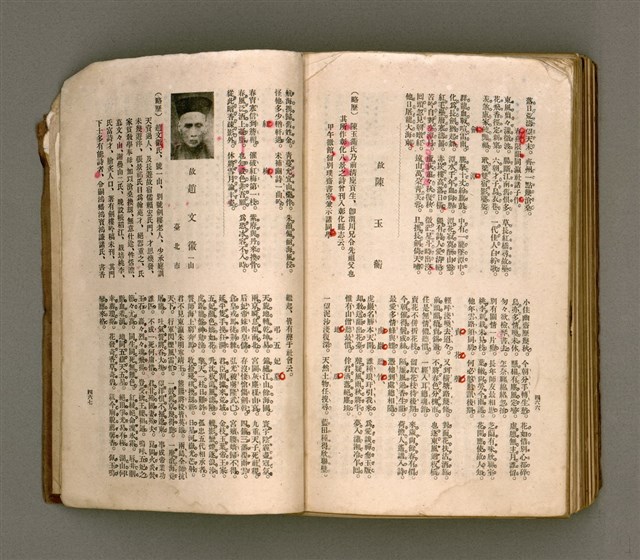 主要名稱：瀛海詩集圖檔，第246張，共253張