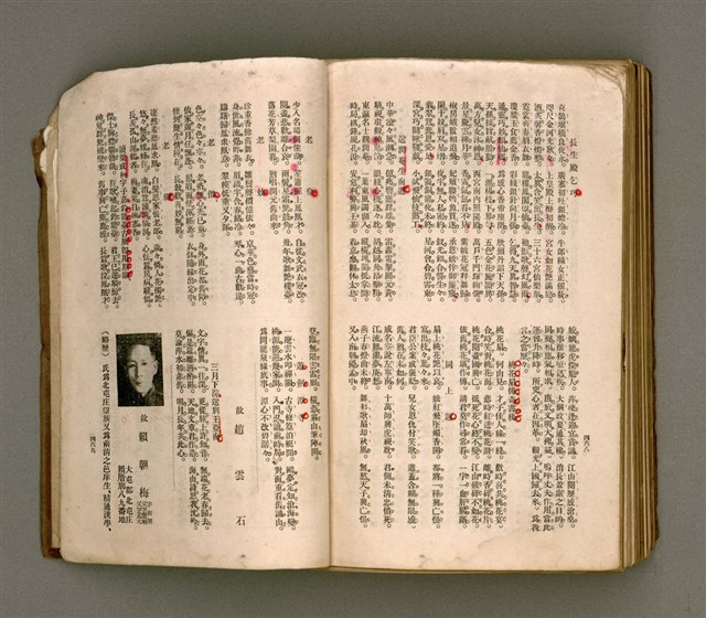 主要名稱：瀛海詩集圖檔，第247張，共253張