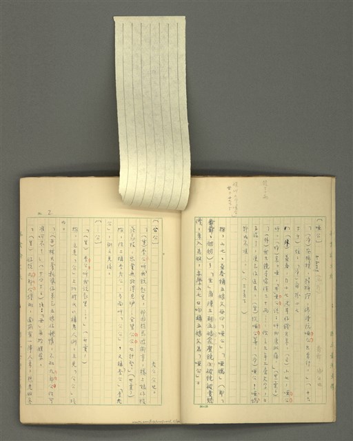 主要名稱：〈明嘉靖刊荔鏡記戲文分類詞彙〉手稿－四、稱謂詞圖檔，第5張，共58張