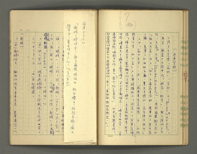 主要名稱：〈明嘉靖刊荔鏡記戲文分類詞彙〉手稿－四、稱謂詞圖檔，第31張，共58張