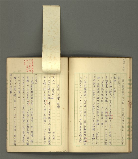主要名稱：〈明嘉靖刊荔鏡記戲文分類詞彙〉手稿－四、稱謂詞圖檔，第36張，共58張