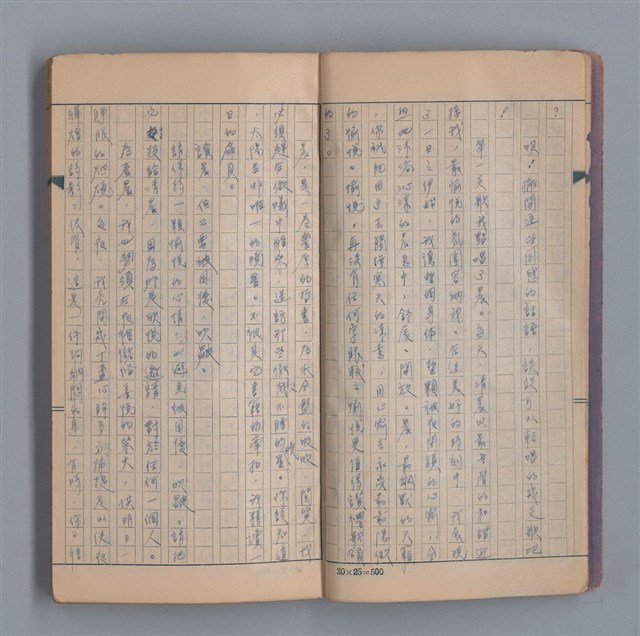 主要名稱：浮木圖檔，第5張，共61張