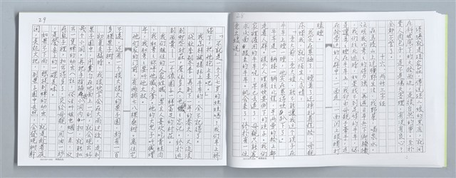 主要名稱：大動亂中小玩童（影本）圖檔，第18張，共89張