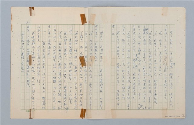 主要名稱：回不了南方家鄉的小燕子（第二版）圖檔，第21張，共23張