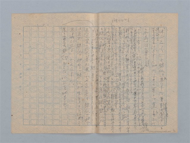 主要名稱：絲瓜の種圖檔，第2張，共2張