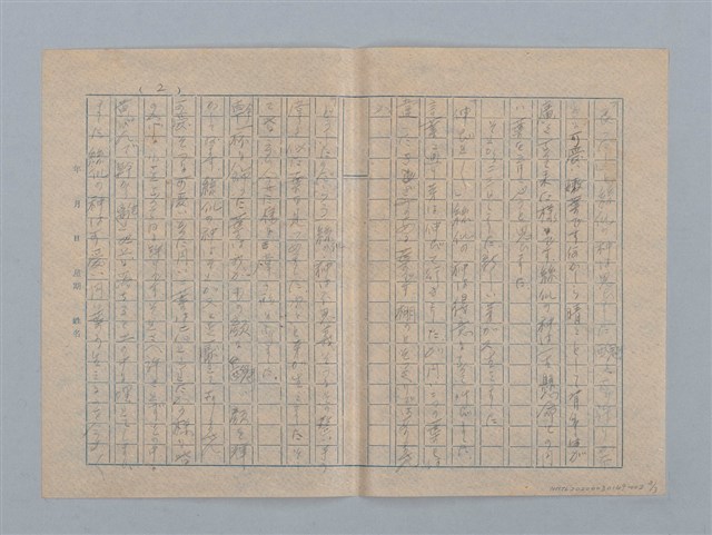 主要名稱：絲瓜の種圖檔，第2張，共3張