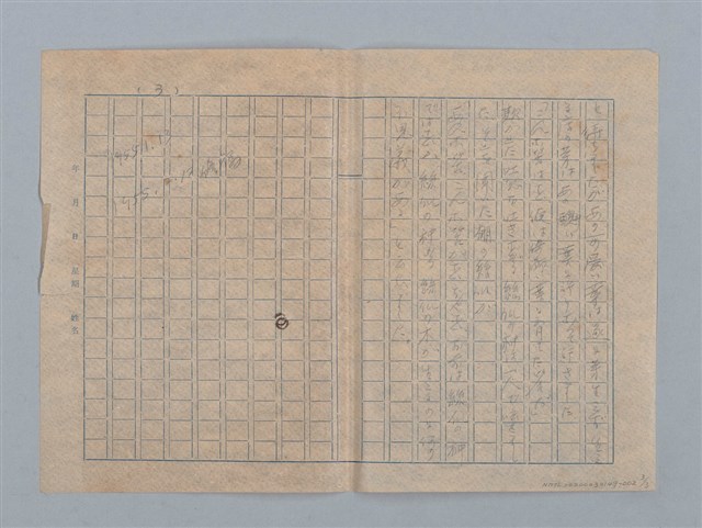 主要名稱：絲瓜の種圖檔，第3張，共3張