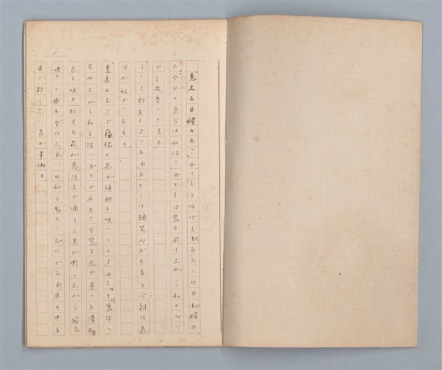 主要名稱：藤桜日記（病院の窓）圖檔，第2張，共12張
