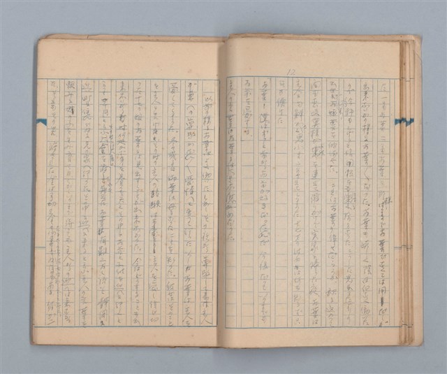 主要名稱：美根子圖檔，第14張，共44張
