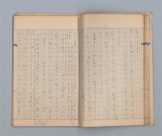 主要名稱：美根子圖檔，第18張，共44張