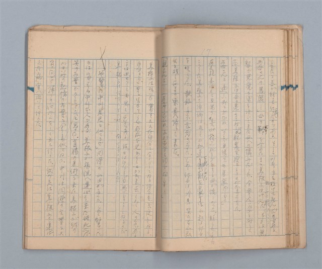 主要名稱：美根子圖檔，第19張，共44張
