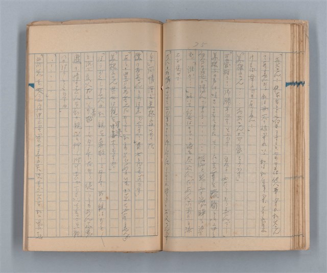 主要名稱：美根子圖檔，第27張，共44張