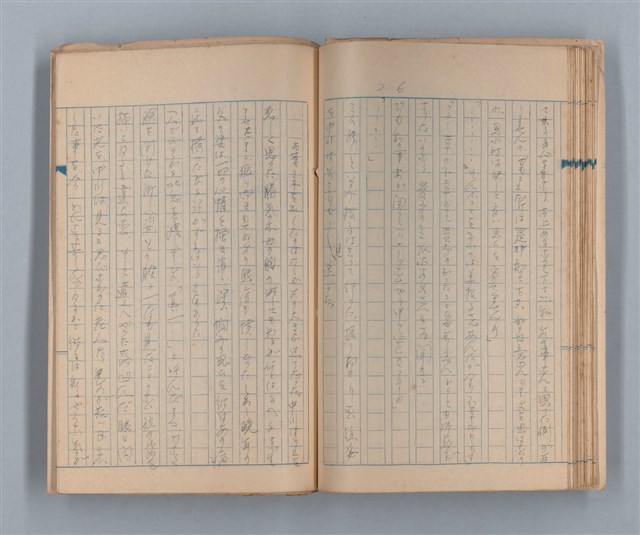 主要名稱：美根子圖檔，第28張，共44張