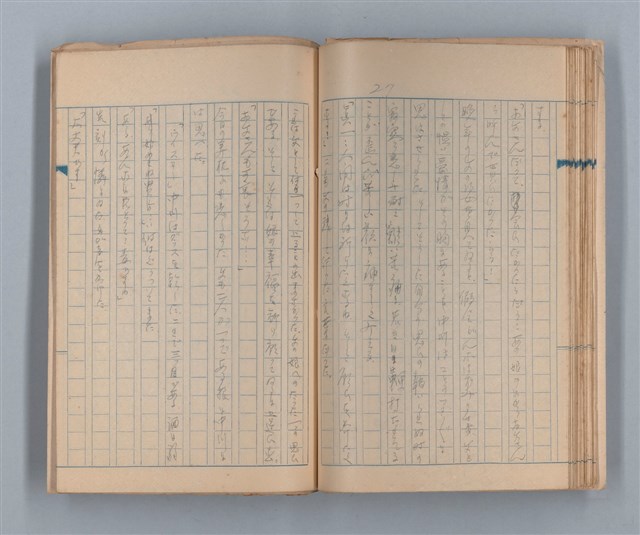 主要名稱：美根子圖檔，第29張，共44張