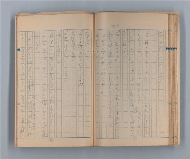 主要名稱：美根子圖檔，第31張，共44張