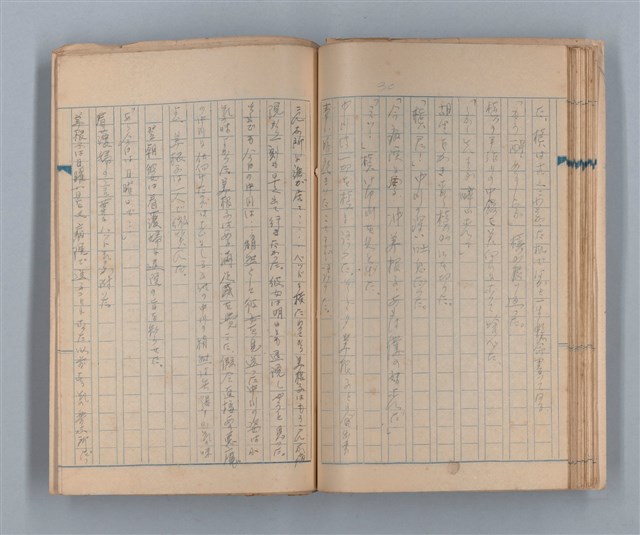 主要名稱：美根子圖檔，第32張，共44張