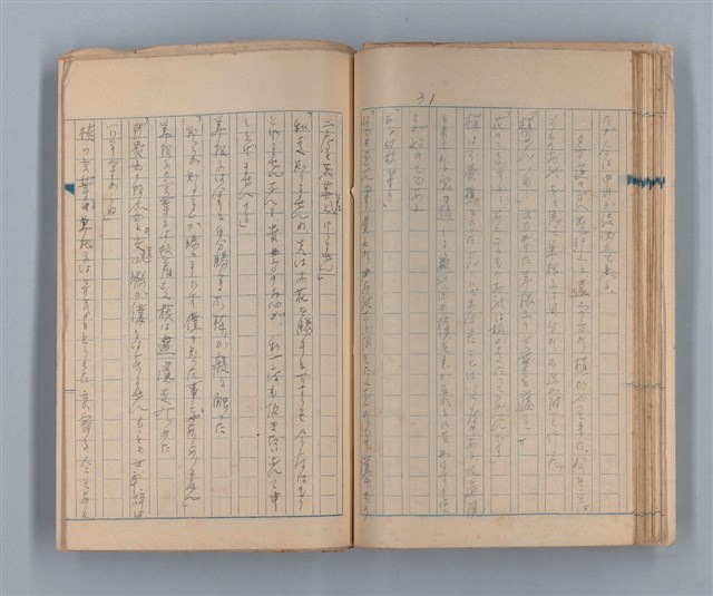 主要名稱：美根子圖檔，第33張，共44張