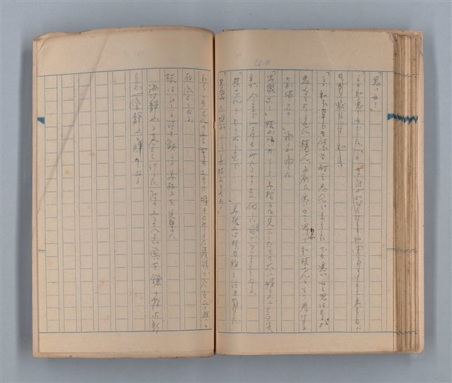 主要名稱：美根子圖檔，第42張，共44張