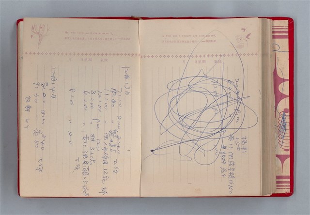 主要名稱：黛綠年華 DIARY （育兒紀錄）圖檔，第156張，共197張