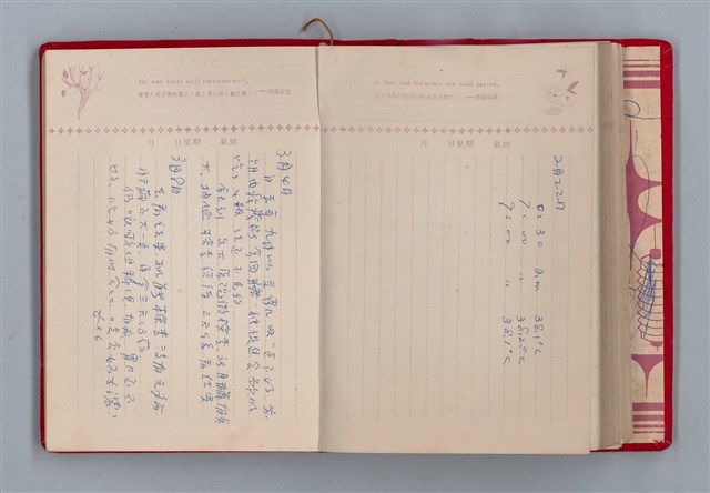 主要名稱：黛綠年華 DIARY （育兒紀錄）圖檔，第164張，共197張