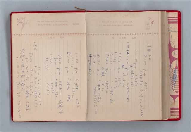 主要名稱：黛綠年華 DIARY （育兒紀錄）圖檔，第172張，共197張