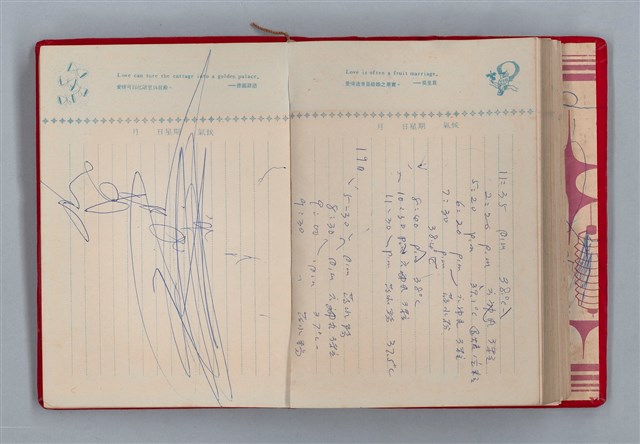 主要名稱：黛綠年華 DIARY （育兒紀錄）圖檔，第173張，共197張