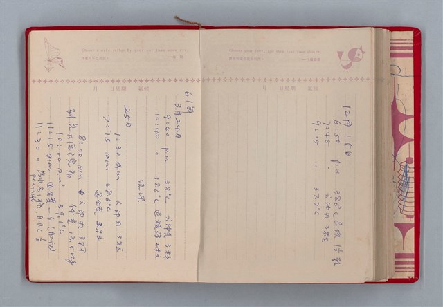 主要名稱：黛綠年華 DIARY （育兒紀錄）圖檔，第174張，共197張