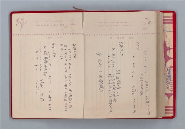 主要名稱：黛綠年華 DIARY （育兒紀錄）圖檔，第180張，共197張