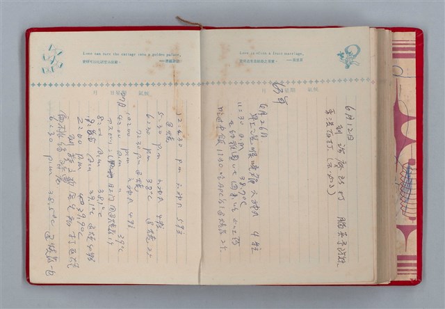 主要名稱：黛綠年華 DIARY （育兒紀錄）圖檔，第181張，共197張