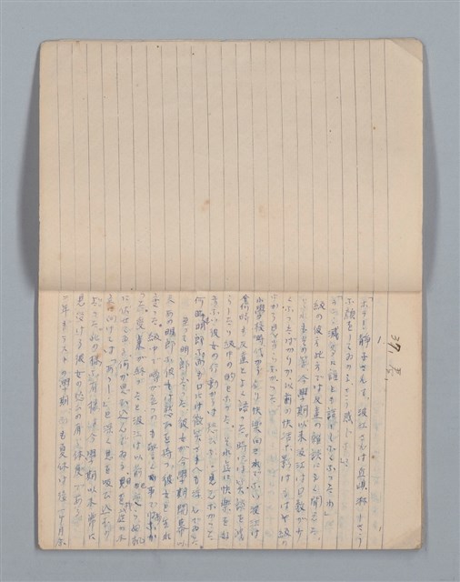 主要名稱：白百合の花（筆記簿）圖檔，第3張，共30張