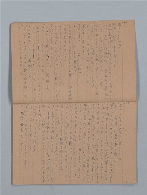 主要名稱：鳳凰木（上）（筆記簿）圖檔，第5張，共28張
