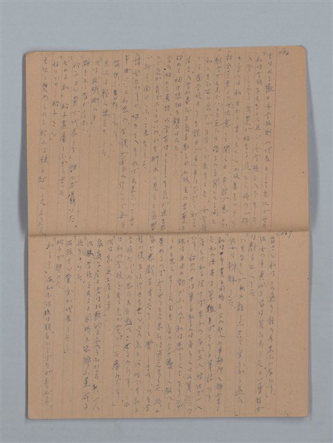 主要名稱：鳳凰木（上）（筆記簿）圖檔，第6張，共28張