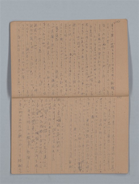 主要名稱：鳳凰木（上）（筆記簿）圖檔，第7張，共28張