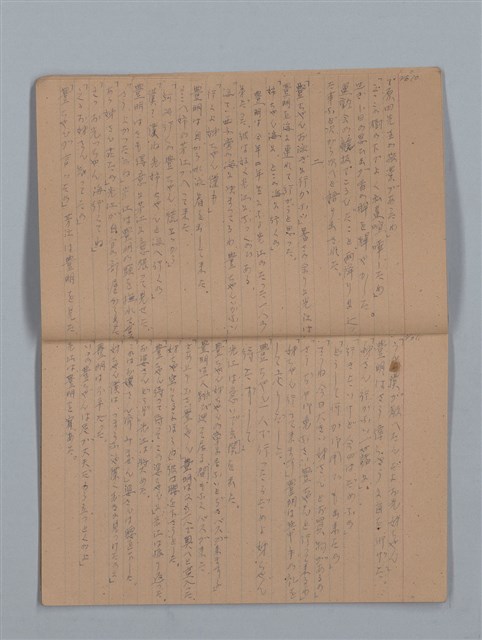 主要名稱：鳳凰木（上）（筆記簿）圖檔，第8張，共28張
