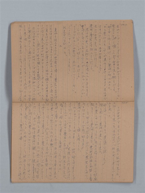 主要名稱：鳳凰木（上）（筆記簿）圖檔，第10張，共28張